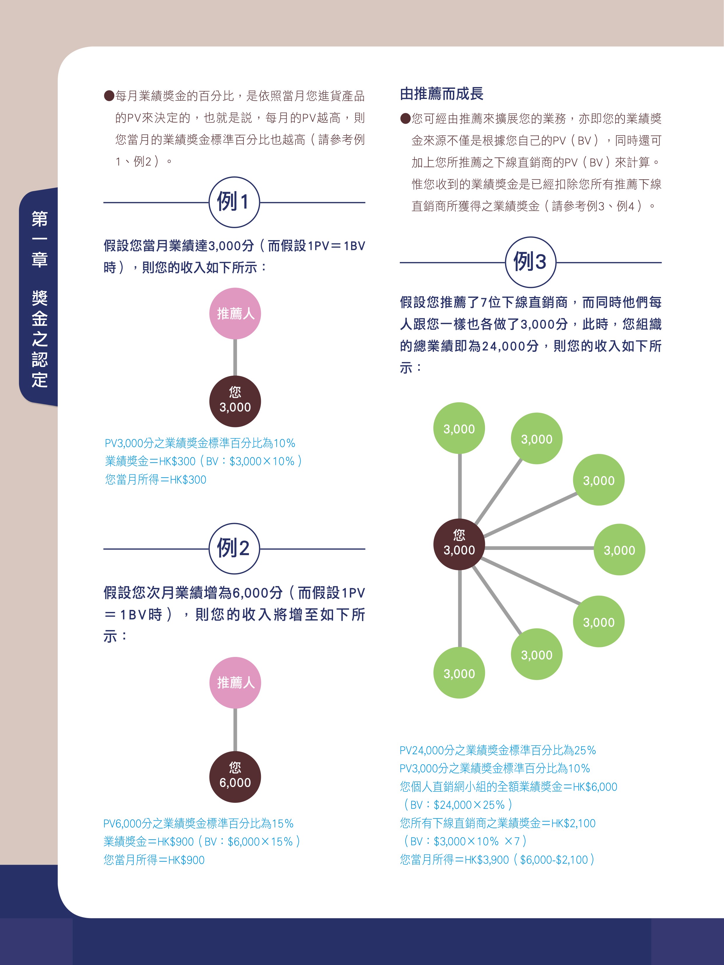 雙鶴直銷事業計劃 1